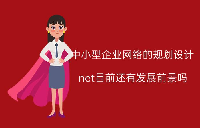 中小型企业网络的规划设计 net目前还有发展前景吗？